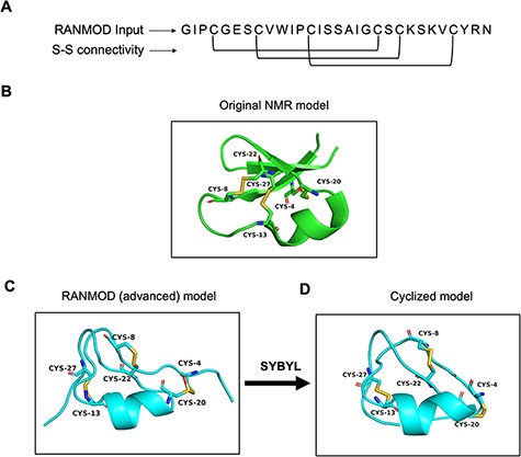 Model generated using RANMOD program for test case of cycloviolacin O2. (A) The input sequence of cycloviolacin O2 from Violoa odorata (PDB ID: 2KNM) and disulphide connectivity information. (B) The native NMR model (the first model of the ensemble) with the disulphide connectivity highlighted. (C) Cartoon representation of the generated model using secondary structural clues. (D) Cartoon representation of the cyclized and energy minimized model. Green and cyan cartoon corresponds to conformations of native template and modelled structures, respectively.