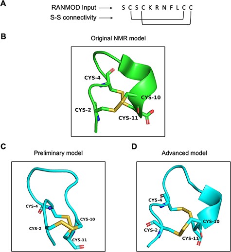 Model generated using RANMOD program for test case of conotoxin pc16a. (A) The input sequence of conotoxin pc16a (PDB ID: 2LER) and disulphide connectivity information. (B) The native NMR model (the first model of the ensemble) with the disulphide connectivity highlighted. (C) Cartoon representation of the generated model using no secondary structural clues (preliminary modelling). (D) Cartoon representation of the generated model using secondary structure information (advanced modelling). Green and cyan cartoon corresponds to conformation of native template and modelled structures, respectively.