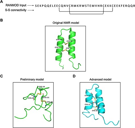 Model generated using RANMOD program for test case of buckwheat trypsin inhibitor BWI-2c. (A) The input sequence of BWI-2c (PDB ID: 2LQX). and disulphide connectivity information. (B) The native NMR model (the first model of the ensemble) with the disulphide connectivity highlighted. (C) Cartoon representation of the generated model using no secondary structural clues (preliminary modelling). (D) Cartoon representation of the generated model using secondary structure information (advanced modelling). Green and cyan cartoon corresponds to conformation of native template and modelled structures, respectively.