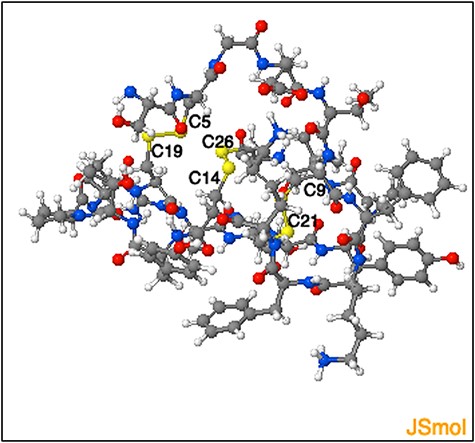 Representation of the three-dimensional structure segment obtained using ‘Modelling peptide’ tool. The three-dimensional structure segment of the homologue identified by querying ‘C4 - C19, C9- C21 and C14 - C26’ disulphide connectivity. The cysteine residues and the corresponding disulphide bridges are highlighted.