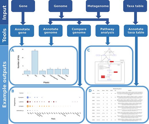 Flow chart showing all possible inputs, respective tools and example outputs for each data type. A) The Ideonella sakaiensis genome was used as an input for the ‘Annotate Genome’ tool, showing the number of input proteins that matched database proteins, grouped by plastic type. B) Comparison of plastic biodegradation potential for the genomes of Ideonella sakaiensis, Agaricus bisporus, P. aeruginosa and Aspergillus fumigatus. C) The P. aeruginosa genome was also used as the input for the ‘Pathway Analysis’ tool. Open blue rectangles represent substrates, solid red rectangles represent proteins in the pathway present in the P. aeruginosa genome, and open black rectangles represent proteins not present in the genome. D) An example output table generated by the ‘Annotate Taxa Table’ tool using amplicon sequencing data as the input. All figures are available at higher resolution in the supplementary material.