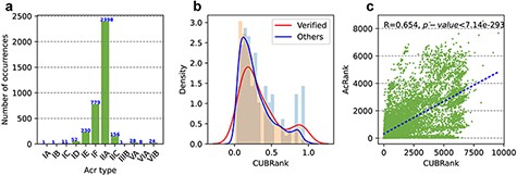 Statistics of Acrs and analysis of CUBRank. (a) Distribution of Acr types. The blue number on each bar represents the Acr number of corresponding type; (b) Analysis of CUBRank. The red and blue curves on the histogram denote the fitted lines; (c) Correlation between CUBRank and AcRanker. We used AcRank to represent the rank predicted by AcRanker (y-axis), and the blue dotted line is fitted by CUBRank and AcRank.