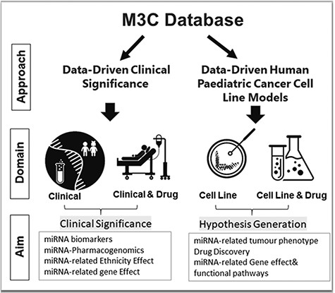 M3Cs approaches, domains and aims.