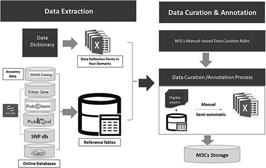 Detailed description of both data extraction and data curation/annotation as a part of data processing.