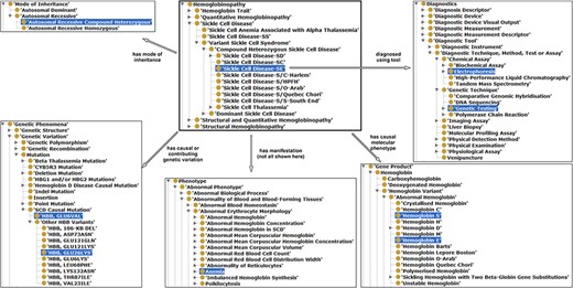 Illustration of properties between hemoglobinopathy concepts as an approach to integrating existing hemoglobinopathy knowledge. The ‘Sickle Cell Disease-SE’ class is the reference or the object, a subclass of hemoglobinopathy having some properties (annotation in different arrows) related with other classes (subjects) highlighted in blue.