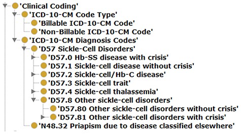 Illustrating a case of an updated SCDO concept—The ‘Clinical Coding’ class.