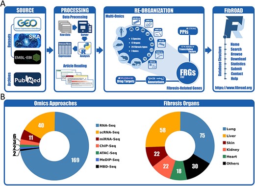 Workflow and statistics for the FibROAD database. (A) pipeline diagram depicting construction of the principal workflow of FibROAD. (B) Pie diagrams for the proportions of omic approaches (left) and organs (right) collected in FibROAD, with numbers indicating totals of projects.