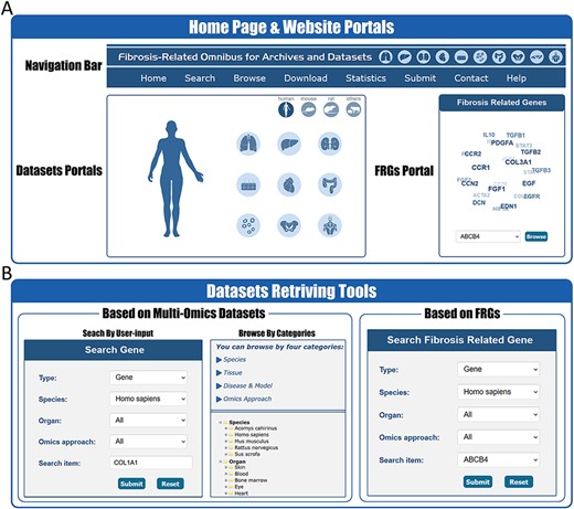Website interface for FibROAD portals and dataset retrieving tools. (A) The home page of the FibROAD website was equipped with a navigation bar at the top and portals to enter dataset browsers within specific categories (left), as well as portals to enter for the page containing fibrosis-related genes (right). (B) The FibROAD dataset retrieving tools (Search and Browse), which can be accessed through the navigation bar on the home page. Users can retrieve relative information with either self-defined keywords (left) or with pre-set FRGs (right).