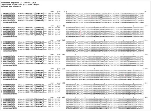 Clustal-Omega alignment of a customized search and visualized by MView.