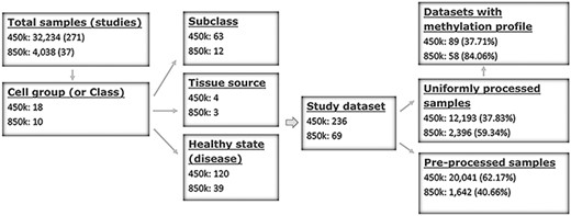 Sample stratification and statistics. (A) Sample or dataset counts are shown beside the platforms: for 450k, ∼37.83% (12 193/32 234) of all samples are uniformly processed, whereas, for 850k, ∼59.34% (2396/4038) of all samples are uniformly processed. In addition, ∼37.71% (89/236) and ∼84.06% (58/69) of all study datasets had methylation profiles. In total, ∼62.29% (147/236) and ∼15.94% (11/69) of all study datasets for the 450k and 850k platforms, respectively, were not uniformly processed, and for these study datasets, only the preprocessed beta values but not methylation profiles could be analyzed. For more details, please see Supplementary Tables S1 and S2.