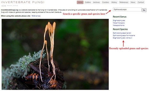 Top view of the homepage.