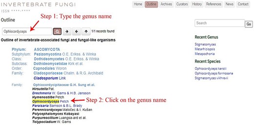 The outline of invertebrate-associated fungi and fungi-like organisms.