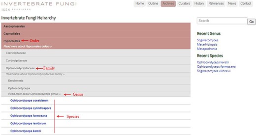 The ‘Archives’ section exhibiting fungal taxa in hierarchical order.