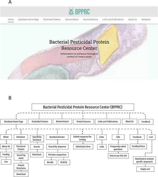 BPPRC website. A. BPPRC home page. B. Schematic of structure and utility of the website.
