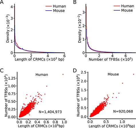 Summary of the lengths of CRMCs and the numbers of TFBSs in a CRMC in the human and mouse genomes. A. Distributions of the lengths of CRMCs in the human and mouse genomes. B. Distributions of the number of TFBSs in a CRMC in the human and mouse genomes. C. Scatter plot of the number of TFBSs in a CRMC vs its length in the human genome. D. Scatter plot of the number of TFBSs in a CRMC vs its length in the mouse genome.