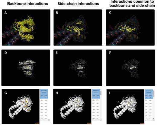 ACIs plotted on superposed structures for the Tubulin C-terminal domain-like superfamily (SCOPe ID 55307). The top panel (A–C) consists of figures showing ACIs on superposed structures for backbone, side chain and those common to both of them. The middle panel (D–F) consists of figures showing ACI networks with possible residues at respective positions on the representative structure of the superfamily. The bottom panel (G–I) shows the interactive views available for the three types of ACIs.