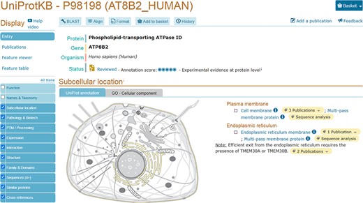 UniProtKB entry AT8B2_ HUMAN (P98198) shows an embedded SwissBioPics image: The generic animal cell (Eumetazoa) is selected based on organism taxonomy; the cell membrane and endoplasmic reticulum are highlighted using annotations from the UniProt entry.