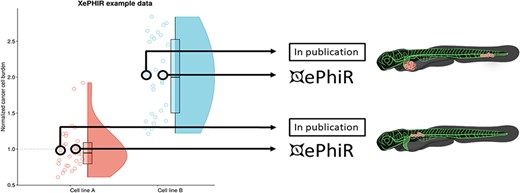 Data are derived from redundant image-based analysis. Image-based analysis data are used to generate a graph and are subsequently used for the publication of the original paper, where one representative sample individual is used in the original manuscript. Another representative individual is submitted to XePHIR either directly or indirectly through deposition of the underlying data set in Zenodo and subsequent publication of the representative image in XePhIR. Using the plotted data used for the generation of a figure in a research article allows for the selection of an adjacent, representative individual in normally distributed data.