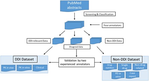Screening and classification of PubMed abstracts for corpus development. PubMed abstracts were initially screened by four annotators into DDI-relevant, non-DDI and disagreed data. The four annotators included two experienced ones and two novice ones. The two experienced annotators had drug–interaction research experience, and two novice annotators were new bioinformatics master novices with biology and pharmacology background. All the abstracts were classified by these four annotators independently, and each abstract was labeled by two annotators. The disagreed data were further validated by two experienced annotators.