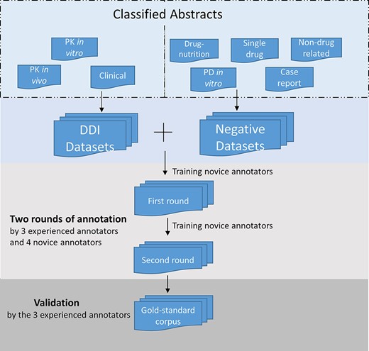 Annotation process for the corpus development. The DDI corpus was constructed by three experienced annotators and four novice annotators. Novice annotators received two rounds of training of sentence-level annotation. After the initial training, each abstract in the corpus was assigned randomly to two annotators for the first-round annotation. Then the novice annotators underwent additional training. In the second-round annotation, the annotators reviewed and revised their annotation. The annotations were validated and finalized by the experienced annotators.