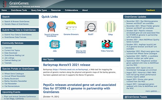 The GrainGenes’ homepage (https://wheat.pw.usda.gov) shows a wide range of services and jump points available through an intuitive, graphic interface. The top menu buttons open up new links.