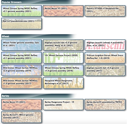 Genome Browsers page at GrainGenes. Note that the 10+ Wheat Genome Project and Barley PanGenome Project buttons open up multiple single-assembly browsers.