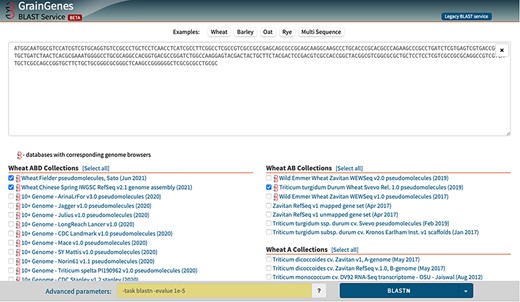 The BLAST page allows users to enter a DNA sequence and select from our database collection.