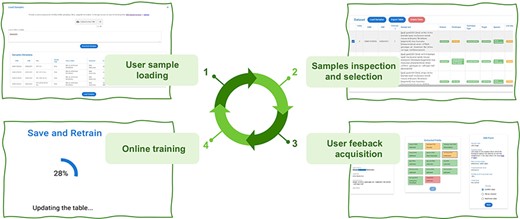 The four iterative phases of the AL framework.