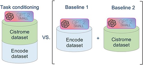 Schematic representation of the comparative experimental setting. On the right, separate models were trained on the ENCODE and Cistrome datasets (as presented in (7)). On the left, the task conditional setting presented in this work, employing the two training datasets together.