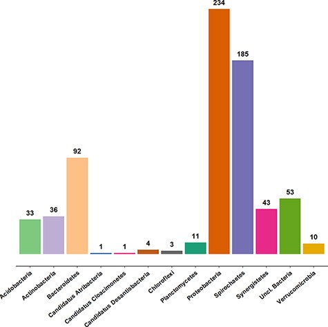 Taxonomic coverage of the clone sequence data set of AcetoBase at the phylum level, excluding Firmicutes (n = 2355 sequences). The values shown represent the sequence count for the respective phylum present in the AcetoBase clone data set.