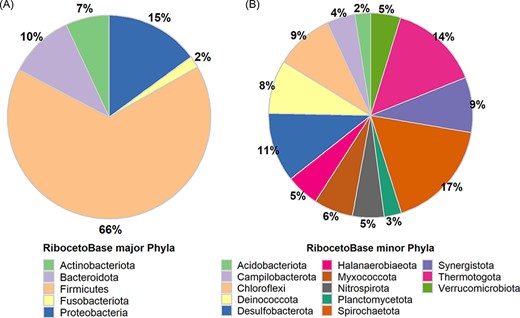 Taxonomic distribution in the RibocetoBase data set of FTHFS-harbouring communities present in AcetoBase at the phylum level. (A) Major phyla with >100 sequences and (B) minor phyla with sequence count 10–100.