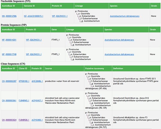 Screenshot of search results in AcetoBase Version 2 showing taxonomic lineages of the query against the nucleotide and protein data sets. The search results for the clone data set show the isolation source of the clone, its description/definition and the putative taxonomy predicted with the acetotax program.