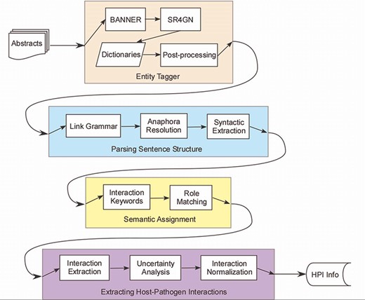 Host–pathogen literature mining system. PHILM consisted of four phases: (i) entity tagging, where proteins/genes and organism names were identified and linked according to species-gene relationship; (ii) parsing sentence structure, where input text was parsed into dependency structures that allowed resolution of anaphors and splitting a complex sentence into simple sentences; (iii) semantic assignment, where HPI roles of components of a simple sentence were determined and (iv) extraction of HPI information, where both host and pathogen parties of an interaction were localized, normalized and analyzed for uncertainty.