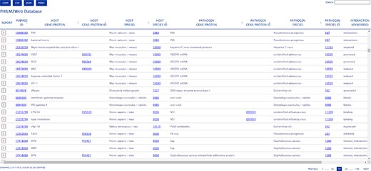 PHILM2Web web interface.