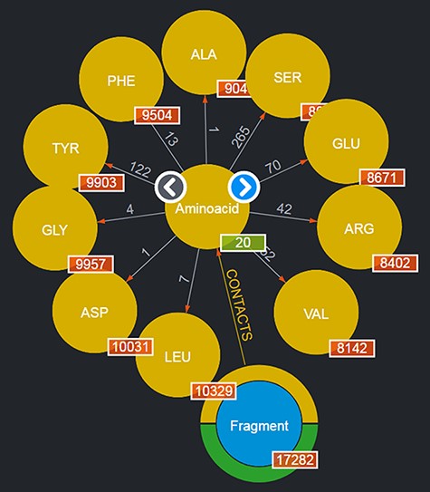 Entities of type ‘Aminoacids’ shown after clicking on the corresponding entity type node. The view shows up to 10 entities and allows users to browse for more by using the left/right arrows in the center. The numbers displayed on the edges, in this case, correspond to the total number of Fragments featured in the DB contacting the given amino acid.