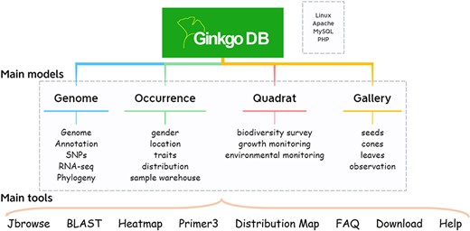 Database architecture of GinkgoDB.