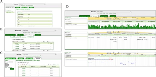 Search and result pages of GinkgoDB. Users can take a query for the specific genome segment or gene, which would return the summary (A), all the gene (B) and SNPs (C) of the queried region, a link to the JBrowse page (D).