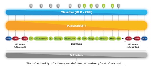Named entity recognition deep learning model. Example text from PMC 1 253 656.