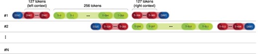 Diagram showing how token sequences are shifted in order to be fed into BERT.