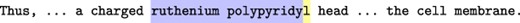 Example of an annotation with incorrect span from document PMC 5 096 026. The term polypyridy was mistakenly annotated instead of polypyridyl, since the last character was not included in the entity mention span.