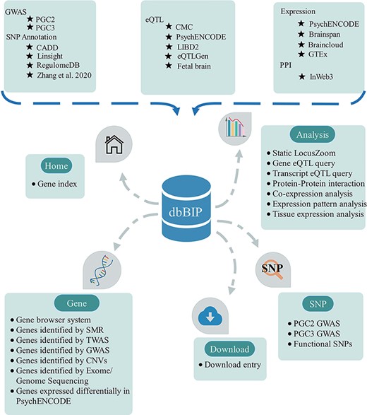 Overview of database content and construction. The dbBIP contains genetic data and analytical tools with browse, search, download and visualize functions.