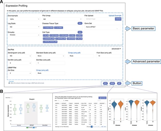User-defined platform for functional analyses and output of analysis results. (A) The user-defined platform consists of three parts: basic parameters, advanced parameters and a button. The basic parameters include the parameters necessary for analysis, and the advanced parameters include several optional parameters. There are three buttons, corresponding to three types of results. (B) The ‘plot’ button returns the interactive analysis interface (left). The ‘table’ button returns the data table of the analysis results (middle). The ‘pdf’ button returns the PDF graph generated by the analysis results (right).