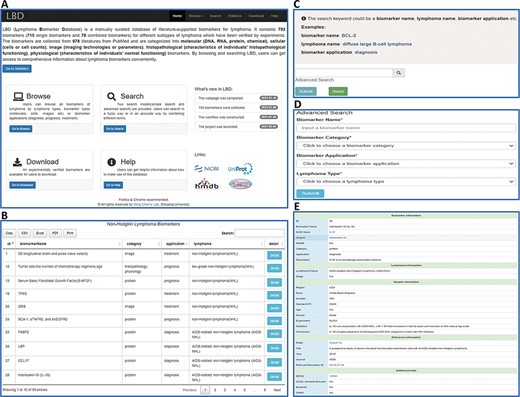 An overview of the web interface of LBD. (A) LBD homepage. (B) Browse the page of non-Hodgkin lymphoma biomarkers. (C) Keyword search page. (D) Advanced search page. (E) Detailed page of IL-18.