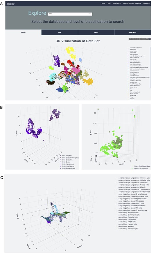 Database explorer page. (A) 3D t-SNE with GTEx tissues based on the features of the expressed proteins. (B) 3D t-SNE with brain and heart sub-tissues as seen on the server (C) 3D t-SNE on lung adenocarcinoma structural features.