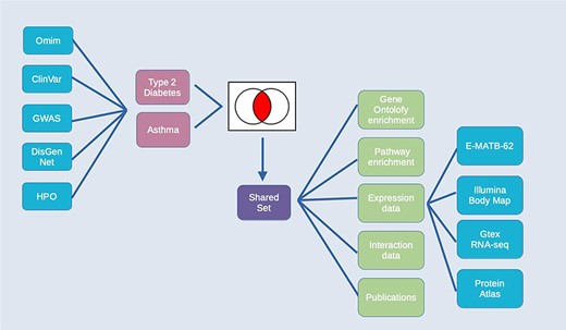 Exploring comorbidities using HumanMine. A schematic representation of the steps involved in the use-case ‘Using HumanMine to explore shared pathways in disease comorbidities’. See text for details.