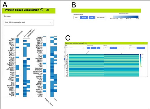 Gene expression heat maps for a selection of the genes from the shared set. (A). Protein tissue localization (original data from The Protein Atlas project, https://www.proteinatlas.org/humanproteome/tissue). The viewer has been filtered to show data for adipose tissue (adipocytes) and lung (macrophages and pneumocytes) only. (B). It is possible to toggle the expression score ‘bins’ on or off and a colour scale representing expression level is shown. (C). Heat map filtered to show RNA-seq data for adipose and lung (original data from The Protein Atlas project, https://www.proteinatlas.org/humanproteome/tissue). The viewer allows toggling between other expression data sets, showing different binned levels of expression and provides a scale for expression level.
