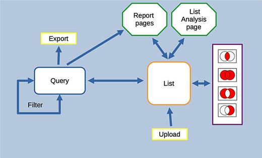 Features of the InterMine interface can be combined to create iterative workflows. For instance, the entities from the results of a query generated either using the query builder or through a template search can be saved as a list. The list can be fed into further queries or combined with other lists using set operations to create further lists. At any stage, individual entities or lists can be examined in more detail through the list analysis and report pages.