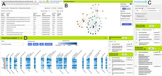 List analysis page for the public list: PL_GenomicsEngland_GenePanel:Glaucoma_(developmental). Like the report pages, list analysis pages provide a number of interactive tables and graphs. A selection is shown here. (A). Interactive table summarizing the contents of the list. (B) A network graph showing Gene–Pathway connections for genes in the list. Only genes that have two or more pathway connections are shown (this option can be toggled on the menu panel). The menu panel also allows filtering of the pathway annotations used in the graph. (C) Enrichment statistics for Gene Ontology terms, Publications, Protein domains and Pathway annotations. (D) A heat map showing protein localization for each gene in the list (original data from The Protein Atlas project https://www.proteinatlas.org/humanproteome/tissue).