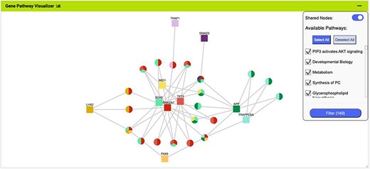 The Gene Pathway Visualizer on the list analysis page, showing Gene–Pathway associations for the 14 upregulated small cell lung cancer genes that interact with PAX6. A number of potentially important cancer genes including SOX2, CSNK2A1, LMX2, SMAD5, APP and TP73 can be seen. Only genes that have two or more pathway connections are shown (this option can be toggled on the menu panel).