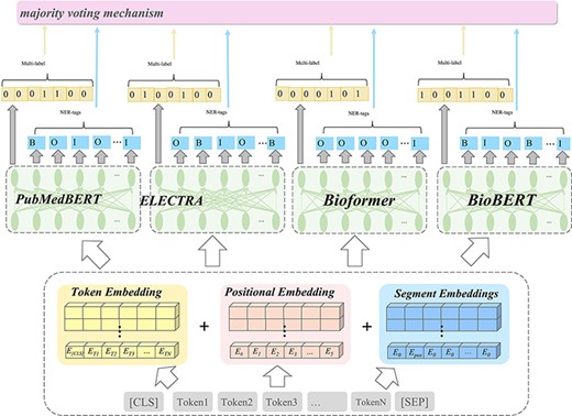 Illustration of the ensemble model in this work for the BioCreative VII challenges.